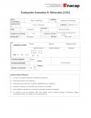 Trabajo Terminado. Rocas y Minerales