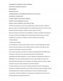 Comparacion de ADN en celulas eucariotas y procariotas