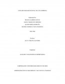 ﻿análisis organizacional de una empresa