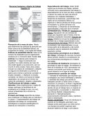 Recursos humanos y diseño del trabajo. Capítulo 10