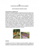 Taller “Características ambientales, histórica, geográfica”