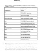 Sistemas nervioso y endocrino