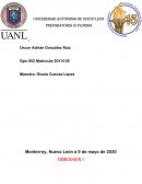 ¿Qué es una obra de arte?