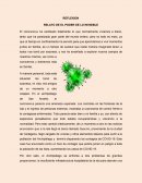 RELATO DE EL PODER DE LO INVISIBLE. El coronavirus