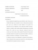 Comunicación profesional