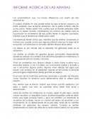 INFORME ACERCA DE LAS ARAÑAS