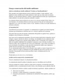 ¿Qué se entiende por medio ambiente? O ¿Qué es el medioambiente?