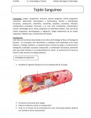 Histología de Ross o Histología de Geneser