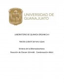 Sintesis organicas