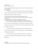 El niño y los peligros en la casa