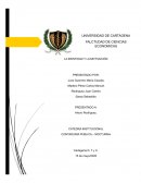 La identidad y la motivación