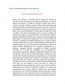 Ensayo sobre alquiler de vientres