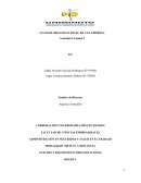 Analisis organizacional de una empresa de petroleo
