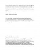 Técnicas usadas en la industrial de la moda