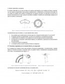 Modelo matemático conceptual