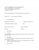 GUÍA DE LABORATORIO DE EL PARADIGMA ORIENTADO A OBJETOS