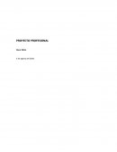 PROYECTO PROFESIONAL