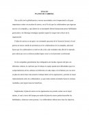 Ensayo Plan de Carrera