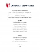 PLAN DE INCENTIVOS PARA LA PYME REOPA