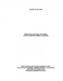 Proyecto de negocio yogurt de ahuyama