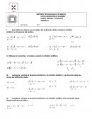 Laboratorio-Unidad-2 Álgebra