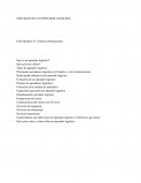 TFG Servicios de un Operador Logístico