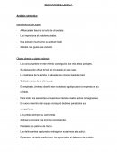 Ejercicios de sintaxis