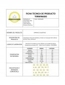 Ficha tecnica de producto terminado