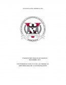 Investigacion ciberbulling