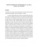 REPORTE DE OBSERVACION—TELESECUNDARIA 451