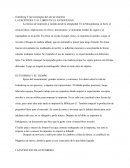 Gutenberg Y las tecnologías del arte de imprimir