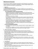 Malformaciones Vasculares