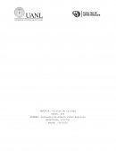 Big fish. El gran pez