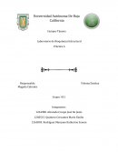 Laboratorio de Bioquímica Estructural Práctica 6