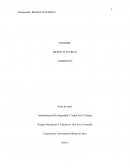 INFORME RIESGO ELÉCTRICO