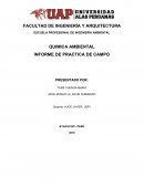 QUIMICA AMBIENTAL INFORME DE PRACTICA DE CAMPO