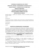 SISTEMA Y PROCEDIMIENTO CONTABLES 8VO-53. ESTRUCTURA DEL TRABAJO