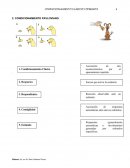 CONDICIONAMIENTO CLÁSICO-OPERANTE