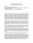 APUNTES DERECHO PROCESAL DEL TRABAJO
