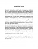 Vicio de un poder analítico