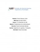 Ejemplo de areas funcionales en una empresa ficticia de miel