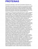 Las proteínas