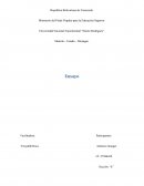 Las normas y las leyes, derecho mercantil