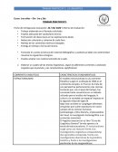 TRABAJO PRACTICO N° 1: LA LINGUISTICA