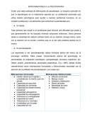 Aproximaciones a la psicoterapia