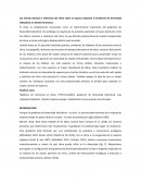 Los efectos directos e indirectos del clima sobre la riqueza impulsan el Gradiente de diversidad latitudinal en árboles forestales