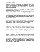 Rompecabezas de la vida