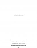 Actividad: Análisis soluciones comerciales CRM