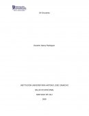 Plan de acción confecciones del valle