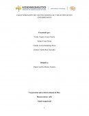 CARACTERIZACIÓN DEL SECTOR AGRICOLAS Y SELECCIÓN DE SUS ENFERMEDADES